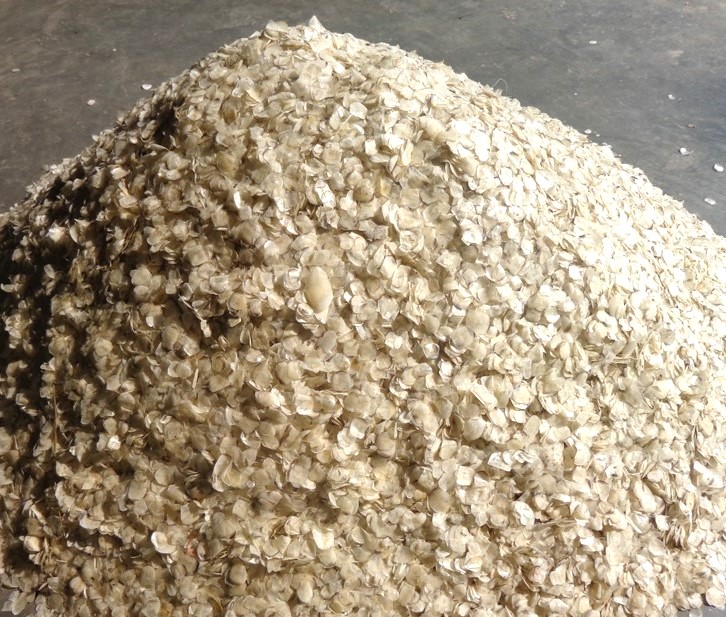 Dried Fish Scales — JAR LIMITED