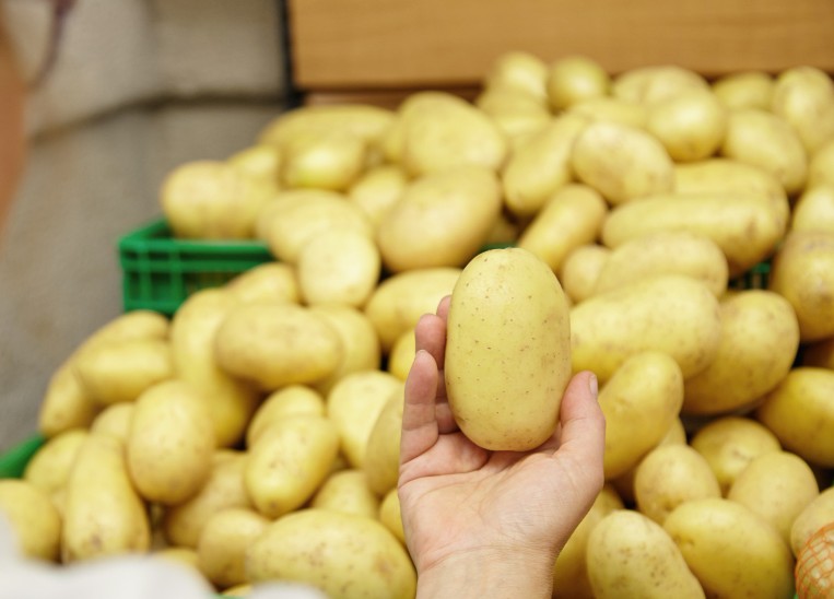 Potato Export - JAR LIMITED